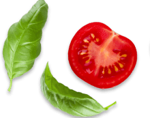 Shabam Gourmet